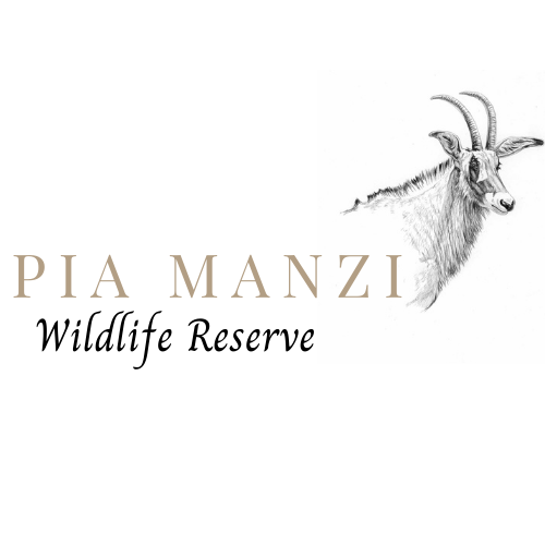 Pia Manzi Wildlife